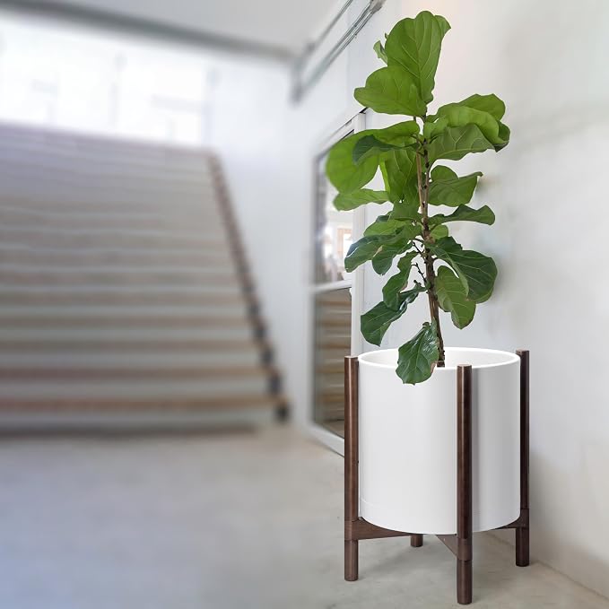 D'vine Dev Plastic Pot with Walnut Wood Stand, White, 16 in, 55-C-X-1 | Mid-Century Inspired Design, Elevated Plant Display, Clean Lines, Sturdy Support, Modern Space-Saving Style