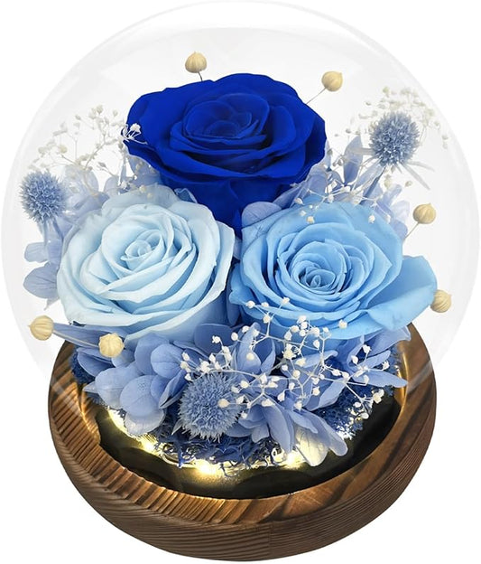 FIACO Gifts for Mom Mothers Day Birthday Gifts for Women Preserved Flowers in Glass Dome Long-Lasting Eternal Roses for Her Grandma Wife Girlfriend Blue Forever Flowers for Delivery Prime Anniversary