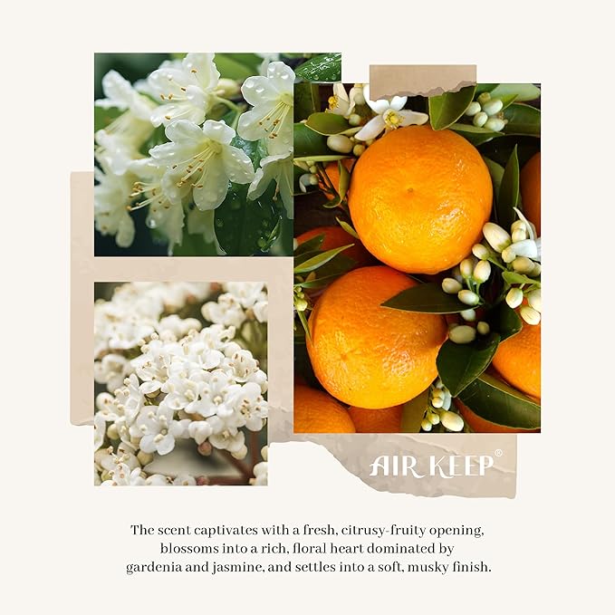 71LWQ7SxI3L._AC_SX679 - 홈테코