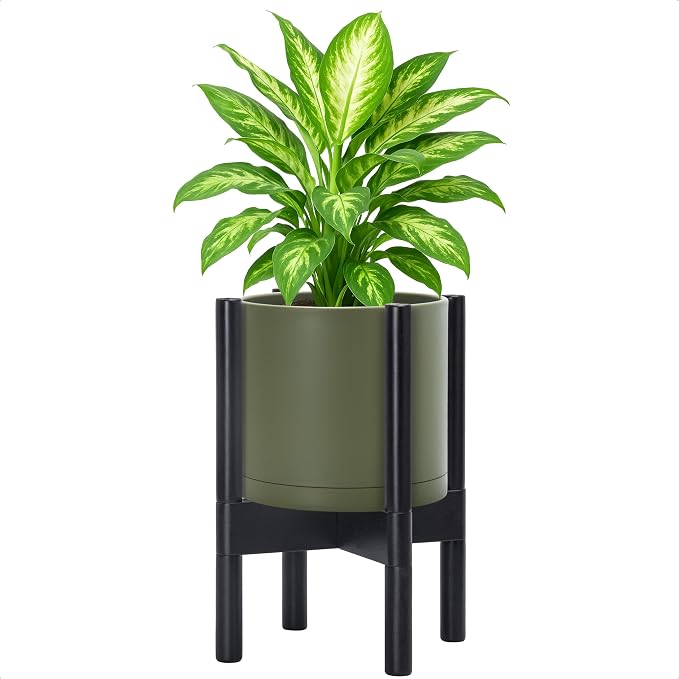 D'vine Dev Plastic Pot with Ebony Wood Stand, Olive, 8 in, 55-C-K-3 | Mid-Century Inspired Design, Elevated Plant Display, Clean Lines, Sturdy Support, Modern Space-Saving Style