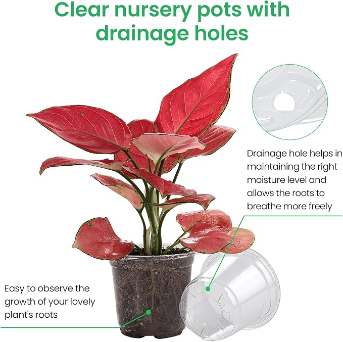Bluepro Clear Nursery Pots with Drainage Holes, 4/5/7 Inch, 30-Pack | Clear PET, 10 Each of 3 Sizes, Root and Moisture Visibility, Flexible, Reusable, Indoor Use, Propagation and Seed Starting