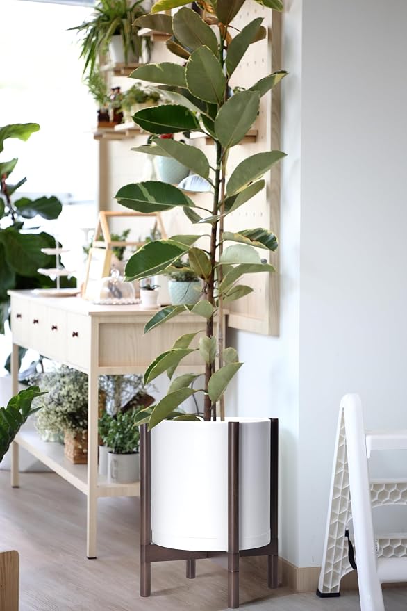 D'vine Dev Plastic Pot with Walnut Wood Stand, White, 12 in, 55-C-O-1 | Mid-Century Inspired Design, Elevated Plant Display, Clean Lines, Sturdy Support, Modern Space-Saving Style
