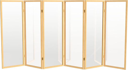4 ft. Short Clear Plastic Partition Natural 6 Panel