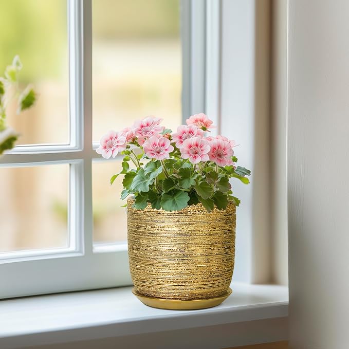 Succulent Pot 5 Inch - Ceramic Plant Pot for Indoor Flowers, Decorative Round Indoor Planter with Drainage Hole and Saucer, Plant Lover Gifts, Patio Office Home Room Decor, Gold