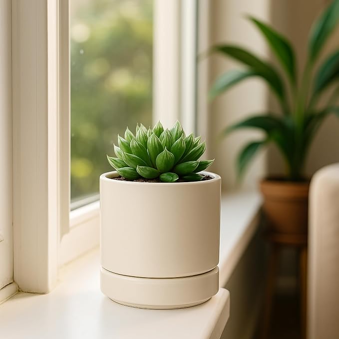 D'vine Dev 4.7 Inch Ceramic Planter Pot, Oatmeal, 94-O-B-8 | Modern Cylinder Design, Drainage Hole & Saucer Included, Stable Structure, Elegant Home Accent