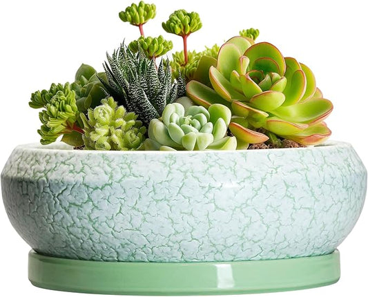 Succulent Pot 6 Inch - Ceramic Bonsai Pots Indoor Outdoor, Shallow Plant Pots with Drainage Hole and Saucer, Small Bonsai Planter, Round Bowl Planter, Desk Decor, Housewarming Gifts, Green