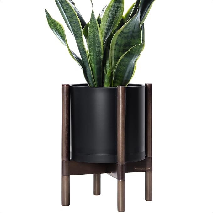 D'vine Dev Plastic Pot with Walnut Wood Stand, Black, 10 in, 55-C-L-2 | Mid-Century Inspired Design, Elevated Plant Display, Clean Lines, Sturdy Support, Modern Space-Saving Style