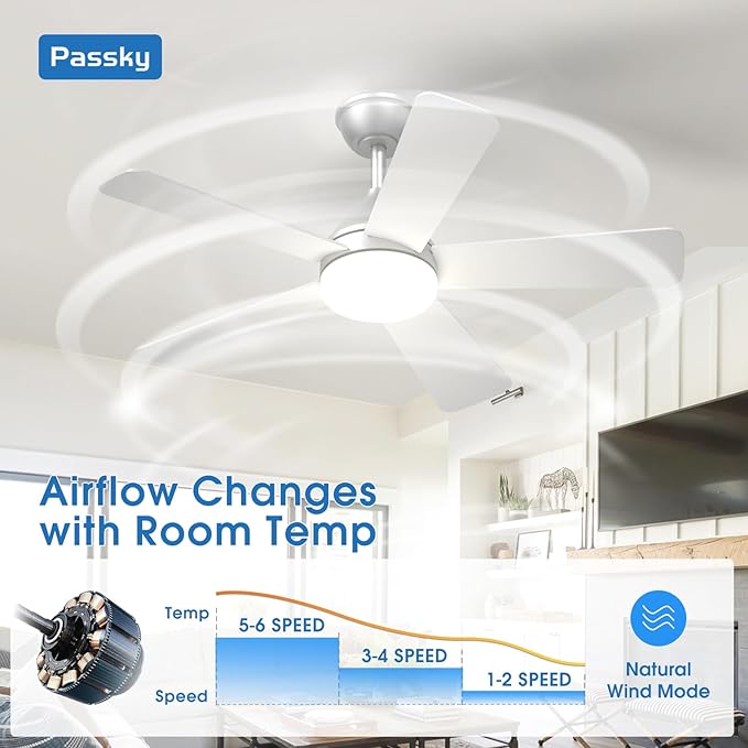 Passky Ceiling Fans with Lights, 42 inch Sleek Ceiling Fan with Light and Remote Control, 3CCT, Dimmable, Reversible, Noiseless, Silver Ceiling Fan for Bedroom, Living Room