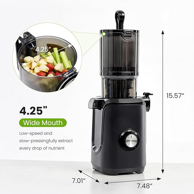 Slow Masticating Juicer Machines, Cold Press Juicer with Safety Lock & Reverse Function, 4.25" Feed Chute for Whole Fruits & Vegetables, High Juice Yield, Black