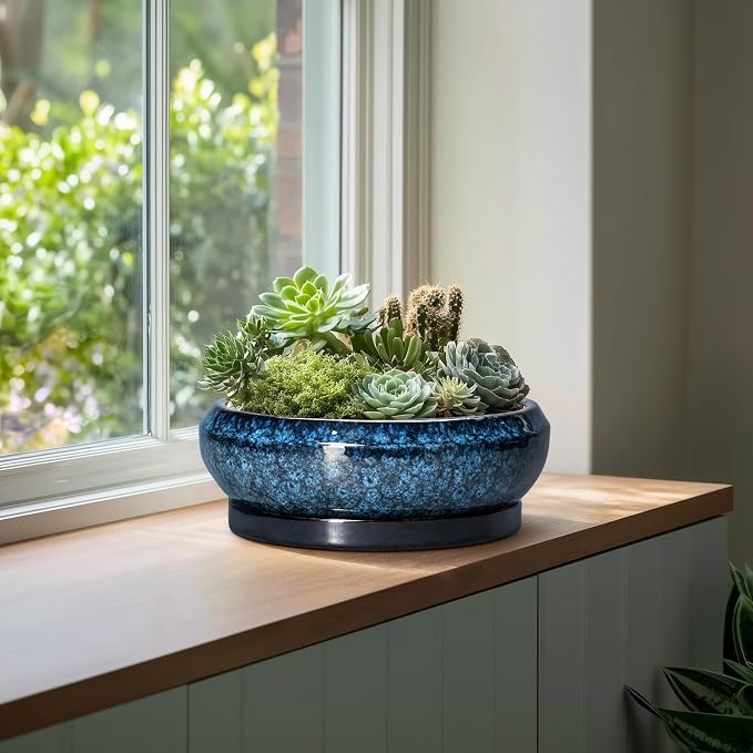 Bonsai Pots - 13 Inch Ceramic Succulent Pots for Indoor Outdoor, Large Succulent Planter with Drainage Hole and Saucer, Round Shallow Flower Planters, Porch Decor, Gardening Gifts, Blue