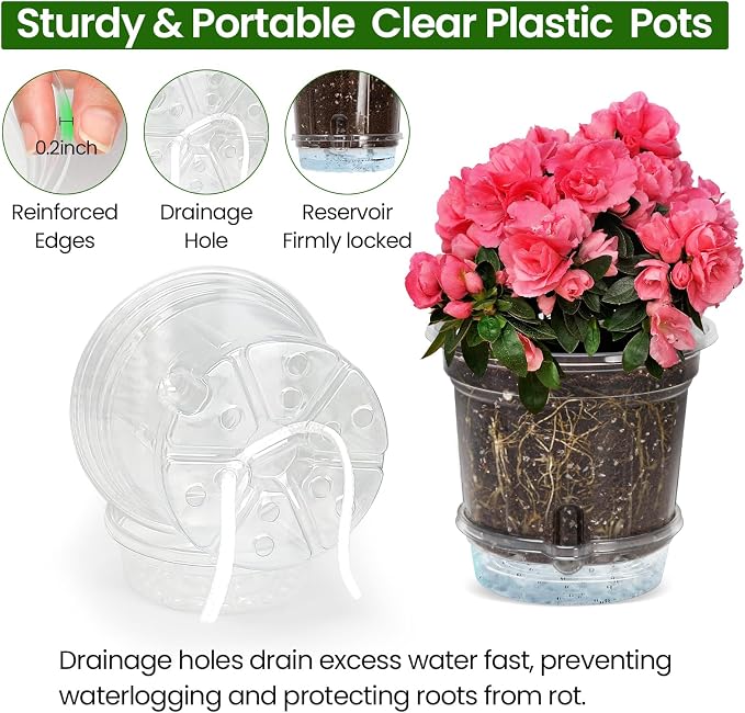 MIXC 12 Pack 5 Inch Self Watering Pots for Indoor Plants with Wicking Rope | Clear Plastic, With Drainage Holes & Deep Reservoirs, Root and Water-Level Visibility, Up to 7-Day Water Supply, Reusable
