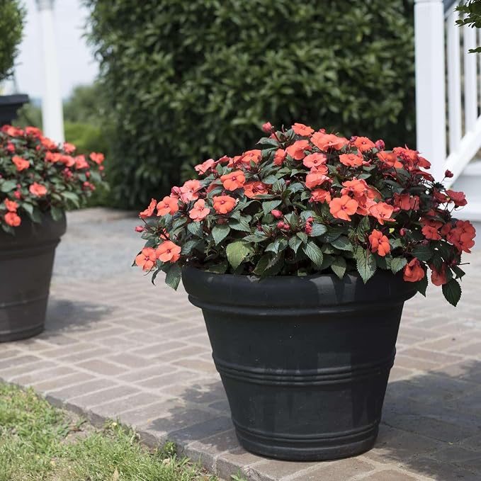 Crescent Garden Brunello Classic Rolled Rim Planter Pot, Indoor/Outdoor Weather-Safe Resin Round Plant Pot, 20''W (Caviar Black)