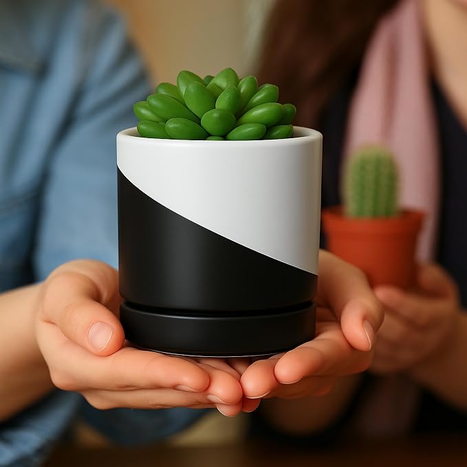 D'vine Dev 3.5 Inch Ceramic Planter Pot, Black White Diagonal, 94-O-A-K | Modern Cylinder Design, Drainage Hole & Saucer Included, Stable Structure, Elegant Home Accent