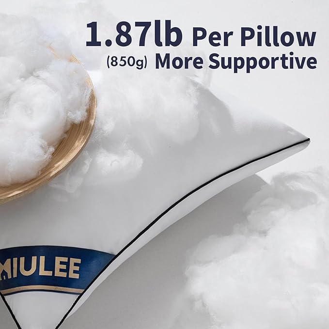 MIULEE 20x20 Pillow Inserts Set of 2 Throw Pillows 20 Inch Premium Down Alternative Pillow Inserts Decorative Pillow Stuffer for Sofa, Couch (20x20 inch, Set of 2) (Pack of 2)