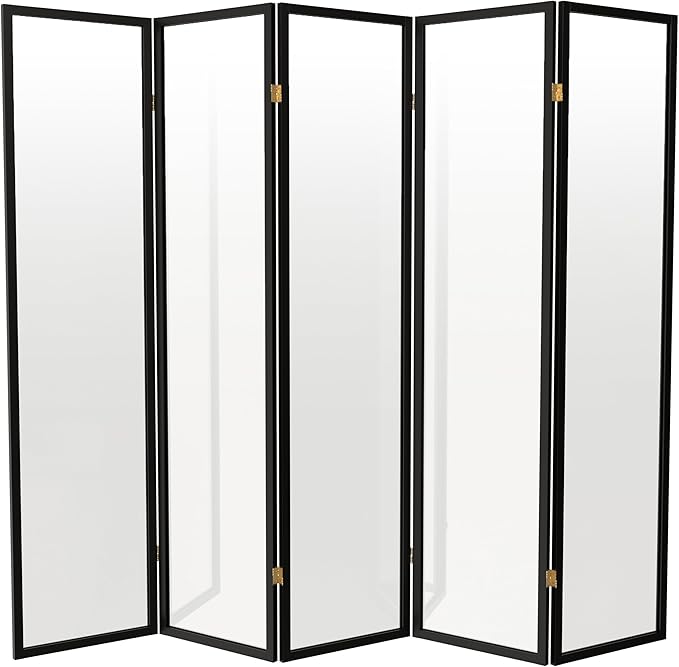 Red Lantern 6 ft. Tall Clear Plastic Partition Black 5 Panel