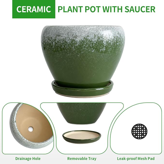Deep Dream 6 Inch Plant Pots- Ceramic Planter Pot with Drainage Hole and Saucer, Round Flower Pot for Indoor Outdoor Succulent, Snake Plants and Cactus, Blackish Green