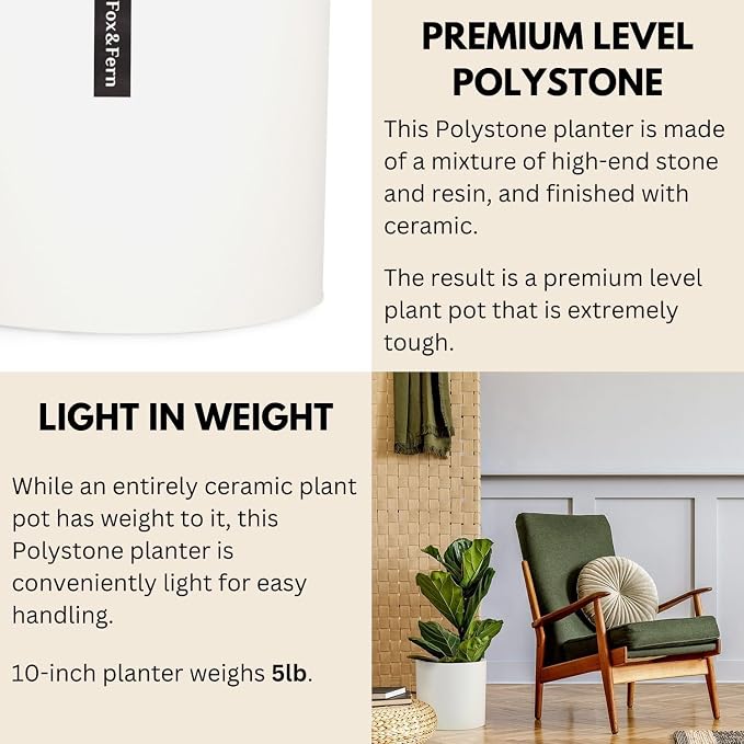 Fox & Fern Large Indoor Planter, Modern Large Plant Pot for Indoor or Outdoor, UV and Frost Resistant - 10 Inch, Matte White Flower Pot with Drainage Plug