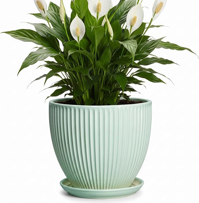 Ceramic Plant Pot, 8 Inch Flower Pots for Indoor Plants, Decorative Flower Planter with Drainage Hole and Saucer, Modern Round Pots for Plants, House Decor, House Warming Gifts, Mint Green