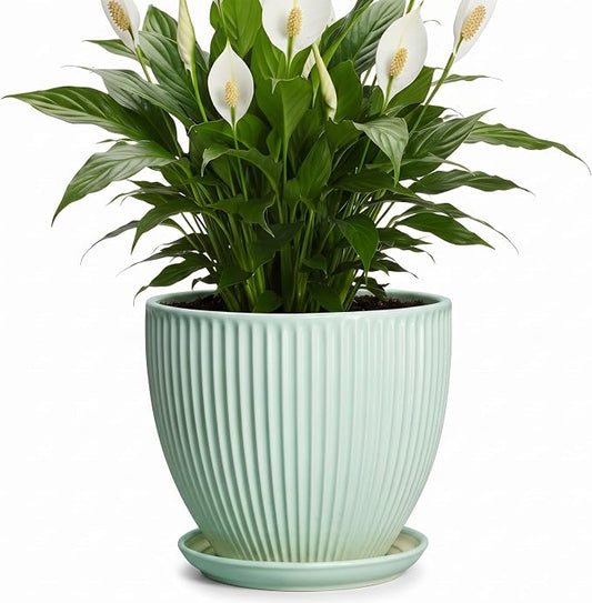 Ceramic Plant Pot, 8 Inch Flower Pots for Indoor Plants, Decorative Flower Planter with Drainage Hole and Saucer, Modern Round Pots for Plants, House Decor, House Warming Gifts, Mint Green