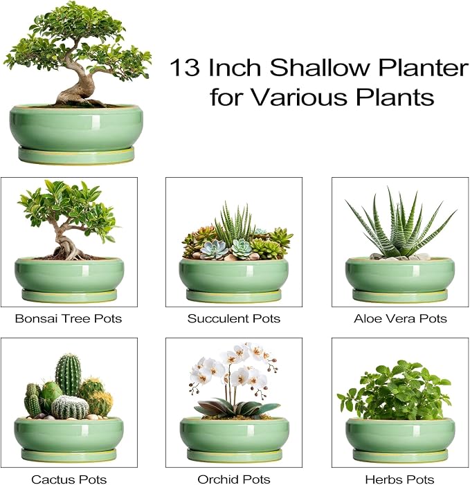 Large Bonsai Pots - 13 Inch Ceramic Succulent Pots for Indoor Outdoor, Ceramic Planter with Drainage Hole and Saucer, Shallow Round Planter, Garden Decor, Gifts for Women Men, Light Green