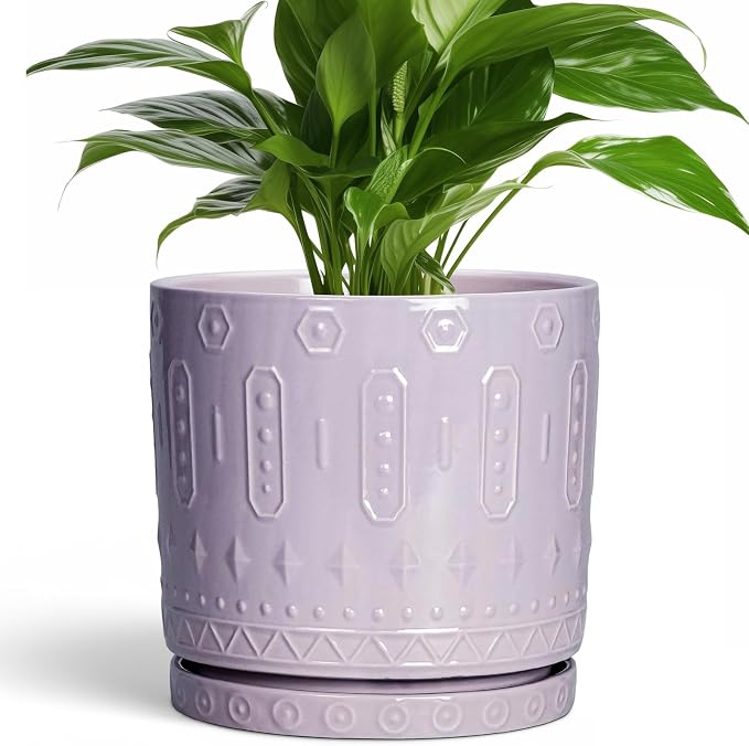 Eightpot Ceramic Flower Pots, 8 Inch Plant Pots Indoor Outdoor, Round Planter with Drainage Hole and Tray, Boho Planter, Decorative Pot for Plants, Apartment Decor, House Warming Gifts, Purple