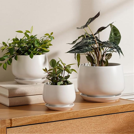 LE TAUCI Ceramic Plant Pots, 4.1+5.1+6.5 inch, Set of 3, Planters with Drainage Hole and Saucer, Indoor Flower Pot with Hole Mesh Pad, Gifts for Mom, White