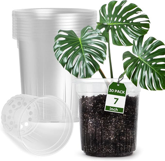 Bluepro Clear Nursery Pots with Drainage Holes, 7 Inch, 1 Gallon, 30-Pack | Clear PET, 1-Gallon Capacity, Root and Moisture Visibility, Flexible, Reusable, Indoor/Outdoor Use, Propagation and Repotting
