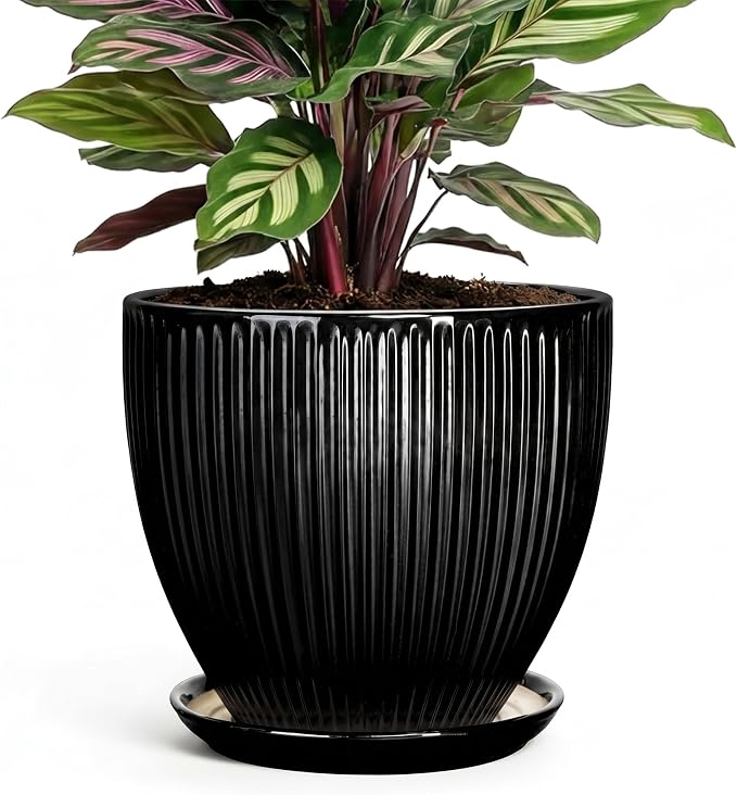 6 Inch Ceramic Planter, Indoor Plant Pots for Small Plants, Decorative Flower Pots with Drainage Hole and Saucer, Round Pot for Plants, Office Bathroom Decor, Gifts for Plant Lovers, Black