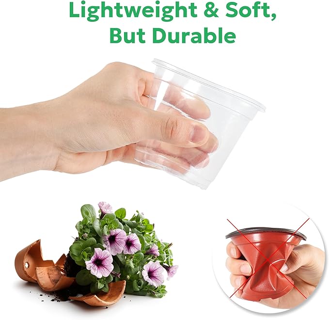 Bluepro Clear Nursery Pots with Drainage Holes, 5 Inch, 30-Pack | Clear PET, 5-Inch Diameter, 4.3-Inch Height, Root and Moisture Visibility, Reusable, Propagation and Seed Starting