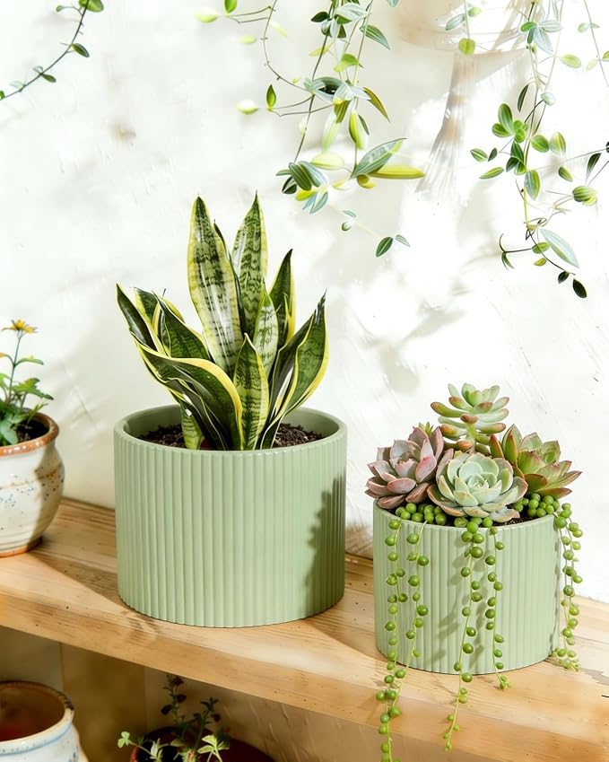 Ceramic Plant Pots, 8.1 + 6 Inch Planters for Indoor Plants, Modern Flower Pot for Plant with Drainage, Medium Cylinder Flower Pots for Indoor/Outdoor, House Plants, Matte Green