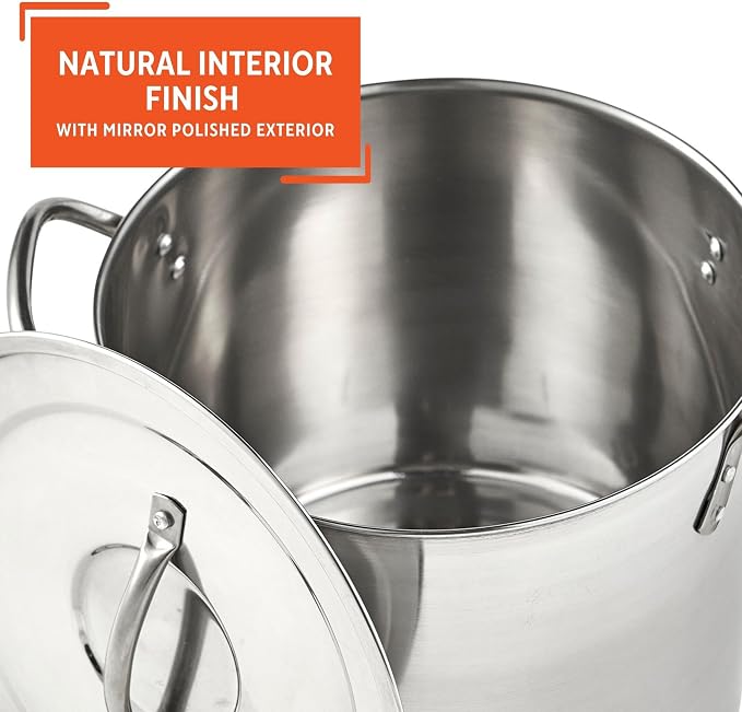 IMUSA Stainless Steel Stock Pot with Lid, 20 Quart, Silver | Mirror-Polished Finish, Riveted Side Handles, Retains Heat and Moisture, Ideal for Broths, Soups, Stews, And More