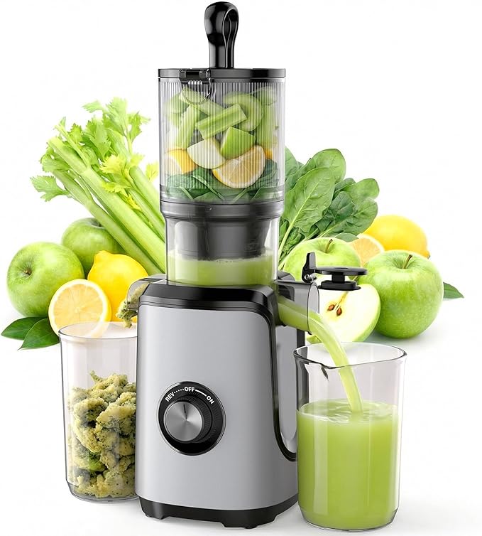 Slow Masticating Juicer Machines, Cold Press Juicer with Safety Lock & Reverse Function, 4.25" Feed Chute for Whole Fruits & Vegetables, High Juice Yield, Silver