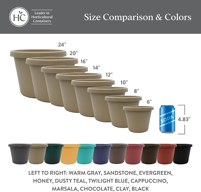 The HC Companies Prima Round Plastic Plant Pot w/Rolled Rim - Lightweight & UV Resistant Flower Pot for Herbs & More - Outdoor & Indoor Plant Pots w/Drainage (6 inch, Evergreen, Pack of 1)