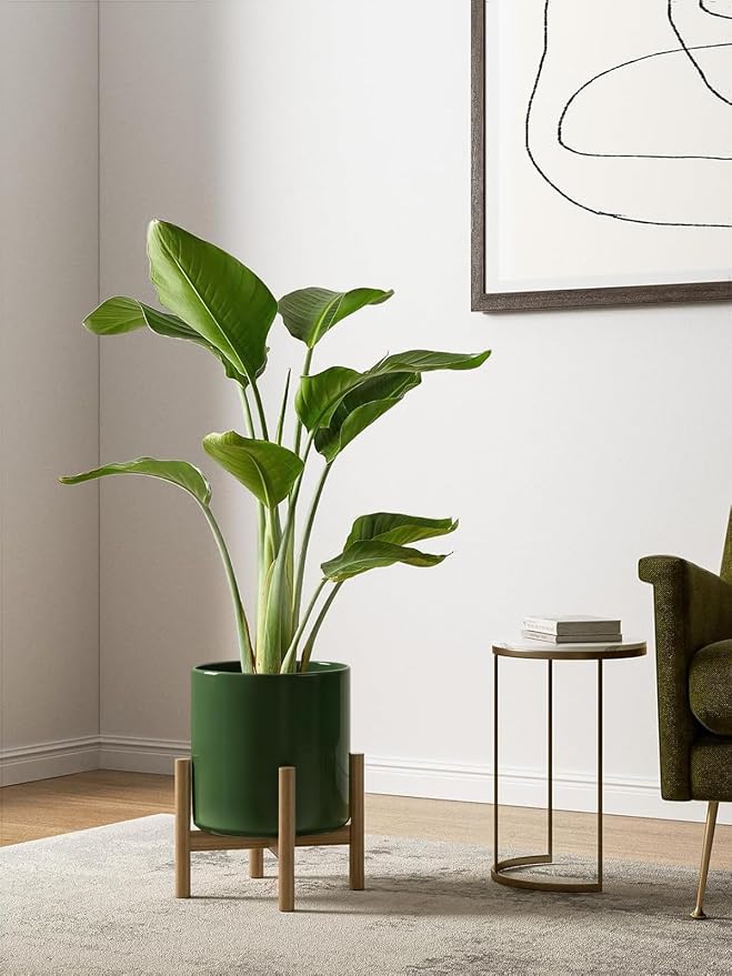 LE TAUCI 10+8+6 Inch Ceramic Pots for Plants, Indoor Planters with Drainage Hole and Plug, Modern Cylinder Flower Pots Set of 3 for Living Room and Kitchen, Glossy, Bamboo Green