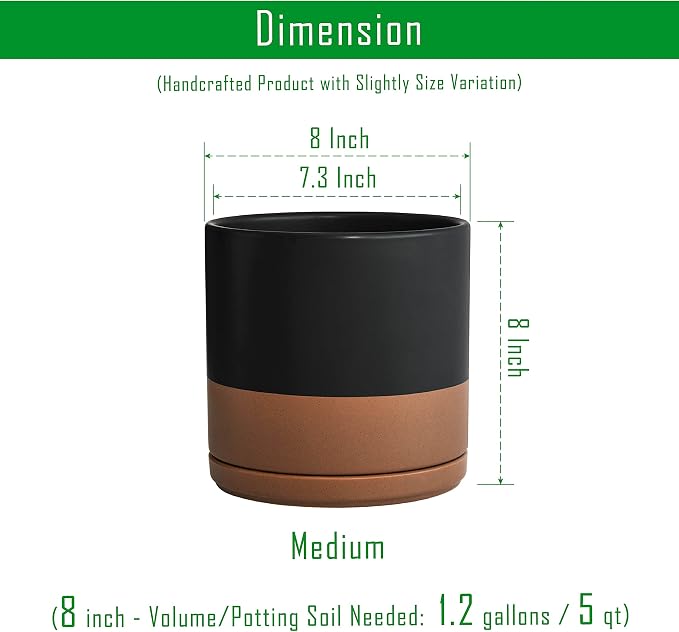 D'vine Dev Set of 2 Plants Pots, 8 Inch Ceramic Planter Pot for Plants with Drainage Hole and Saucer, Black/Speckled Tan, 94-V-D-7