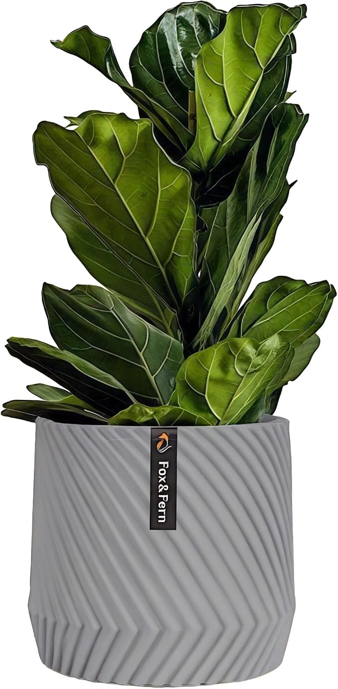Fox & Fern Large Indoor Planter, Modern Large Plant Pot for Indoor or Outdoor, UV and Frost Resistant - 12 Inch, Matte Gray Flower Pot with Drainage Plug, 3D Printed Design