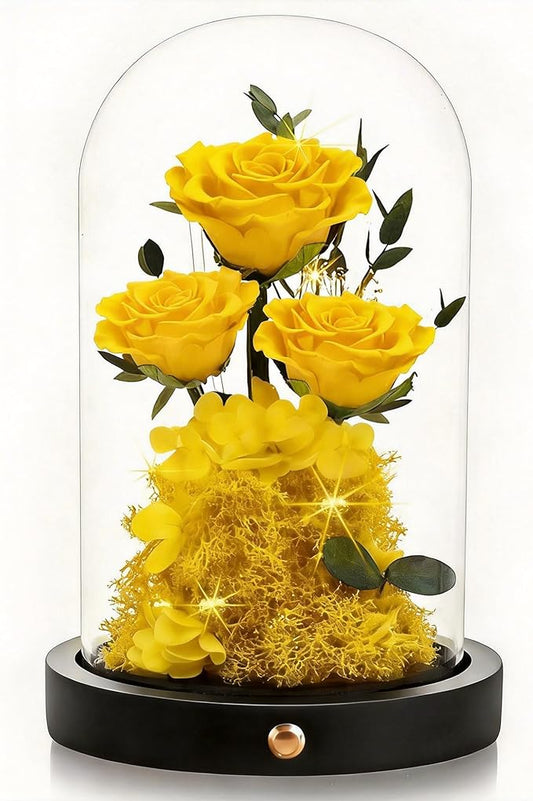 Agrul Mothers Day Flowers Roses Gifts for Mom,Forever Preserved Flower Rose in Glass Dome Fresh Flowers for Delivery Mothers Day Roses Gifts for Wife Women Mom Grandma from Daughter/Yellow Rose