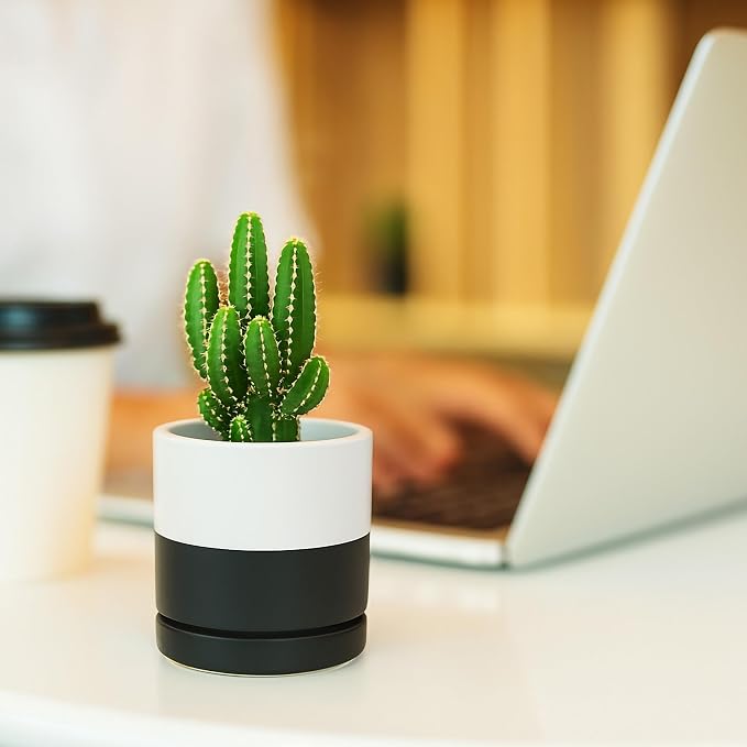 D'vine Dev 3.5 Inch Ceramic Planter Pot, Black White Two Tone, 94-O-A-L | Modern Cylinder Design, Drainage Hole & Saucer Included, Stable Structure, Elegant Home Accent