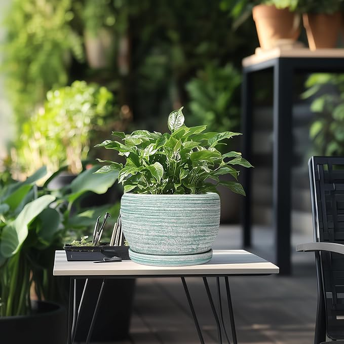 SQOWL Ceramic Planters for Indoor Plants - 8 inch Plant Pot Outdoor, Ceramic Flower Pot with Drainage Hole and Saucer, Round Modern Planter, Living Room Apartment Decor, Birthday Gifts, Green
