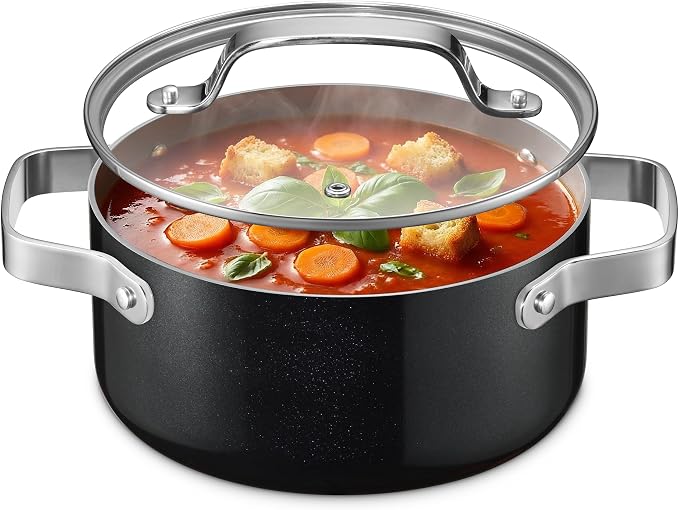 Bakken 3 Quart Ceramic Coated Stock Pot with Lid, Easy to Clean Nonstick Pot, Tempered Glass Lid, Riveted Stainless Steel Handles, Oven Safe Up To 500°F, PTFE & PFAS Free, All Stove Compatible, Black