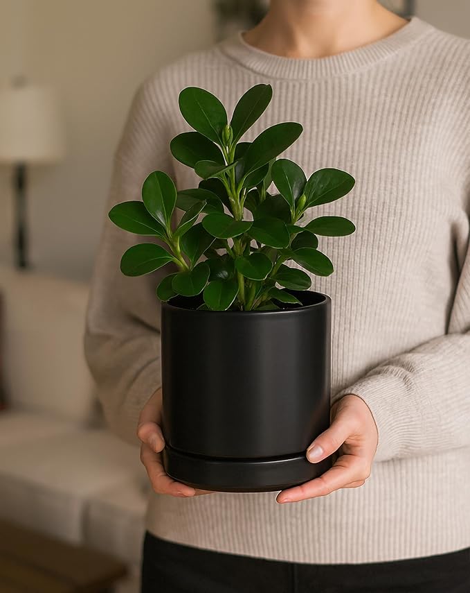 D'vine Dev 6.5 Inch Ceramic Planter Pot, Black, 94-O-C-2 | Modern Cylinder Design, Drainage Hole & Saucer Included, Stable Structure, Elegant Home Accent