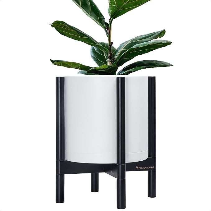 D'vine Dev Plastic Pot with Ebony Wood Stand, White, 12 in, 55-C-Q-1 | Mid-Century Inspired Design, Elevated Plant Display, Clean Lines, Sturdy Support, Modern Space-Saving Style