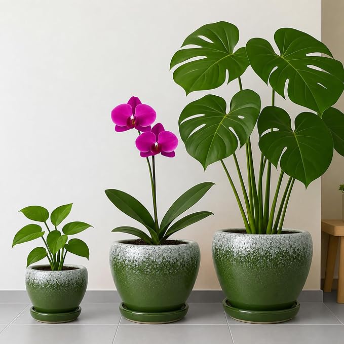 Deep Dream 6 Inch Plant Pots- Ceramic Planter Pot with Drainage Hole and Saucer, Round Flower Pot for Indoor Outdoor Succulent, Snake Plants and Cactus, Blackish Green