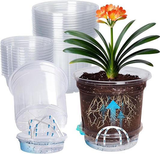 MIXC 12 Pack 6.5 Inch Self Watering Pots for Indoor Plants-Clear Plastic | With Drainage Holes & Deep Reservoirs, Wicking Rope，Root and Water-Level Visibility, Up to 7-Day Water Supply, Reusable