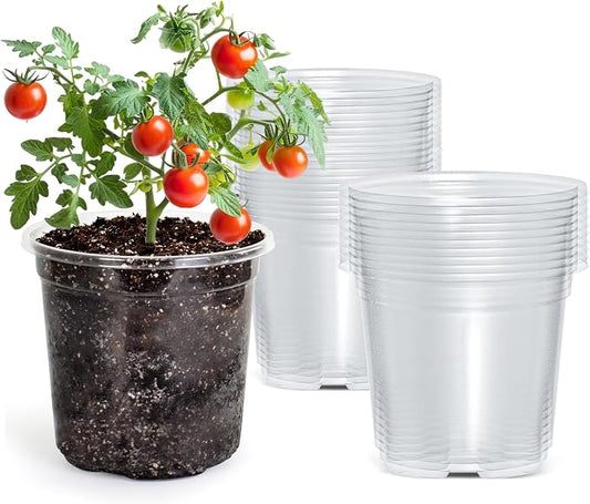 Bluepro Clear Nursery Pots with Drainage Holes, 5 Inch, 30-Pack | Clear PET, 5-Inch Diameter, 4.3-Inch Height, Root and Moisture Visibility, Reusable, Propagation and Seed Starting