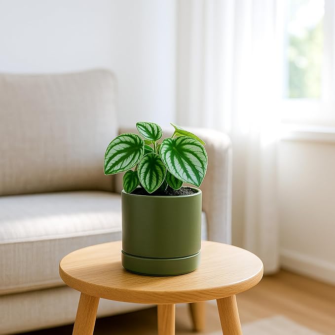 D'vine Dev 4.7 Inch Ceramic Planter Pot, Olive, 94-O-B-J | Modern Cylinder Design, Drainage Hole & Saucer Included, Stable Structure, Elegant Home Accent