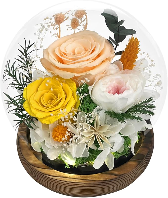 FIACO Mother‘s Day Mothers Gifts for Mom Birthday Gifts for Women Preserved Flowers in Glass Dome Long-Lasting Eternal Fresh Roses for Her Grandma Wife Daughter Forever Flowers for Delivery Prime