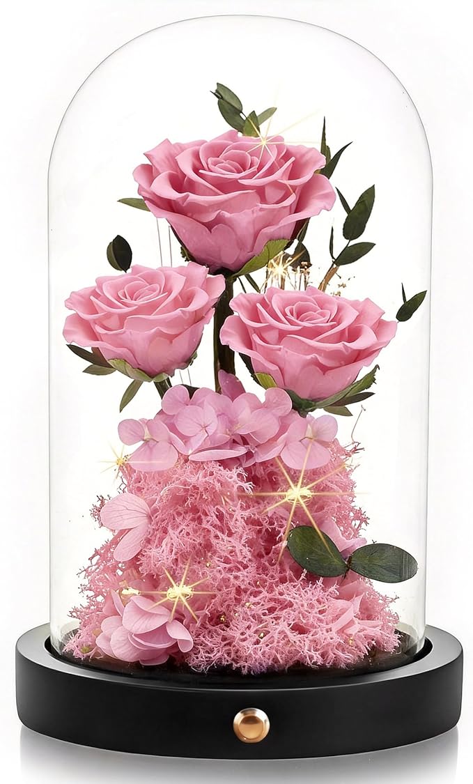 Agrul Mothers Day Flowers Roses Gifts for Mom,Forever Preserved Flower Rose in Glass Dome Fresh Flowers for Delivery Mothers Day Roses Gifts for Wife Women Mom Grandma from Daughter/Pink Rose