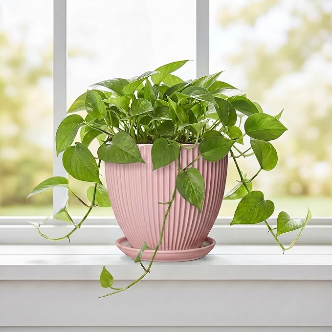 6 Inch Flower Pots, Ceramic Pots for Plants Indoor, Modern Plant Pot with Drainage Hole and Saucer, Decorative Small Round Succulent Planter, Living Room Office Decor, Women Men Gifts, Pink