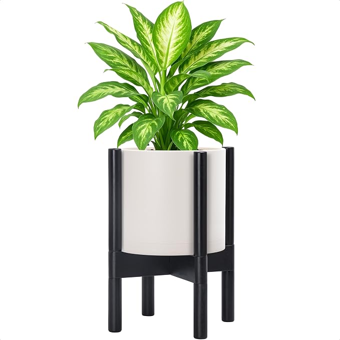 D'vine Dev Plastic Pot with Ebony Wood Stand, Oatmeal, 8 in, 55-C-K-4 | Mid-Century Inspired Design, Elevated Plant Display, Clean Lines, Sturdy Support, Modern Space-Saving Style